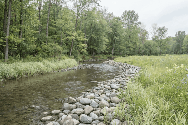 When “Someone Should Take Care of This” Becomes a Business Risk